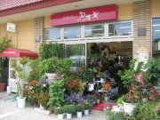 「フラワーアオキ」　（山形県山形市）の花屋店舗写真1