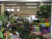 「フラワーアオキ」　（山形県山形市）の花屋店舗写真2